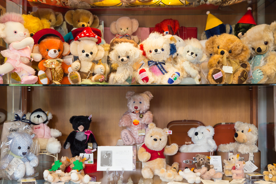 TEDDY BEAR SHOW CASE